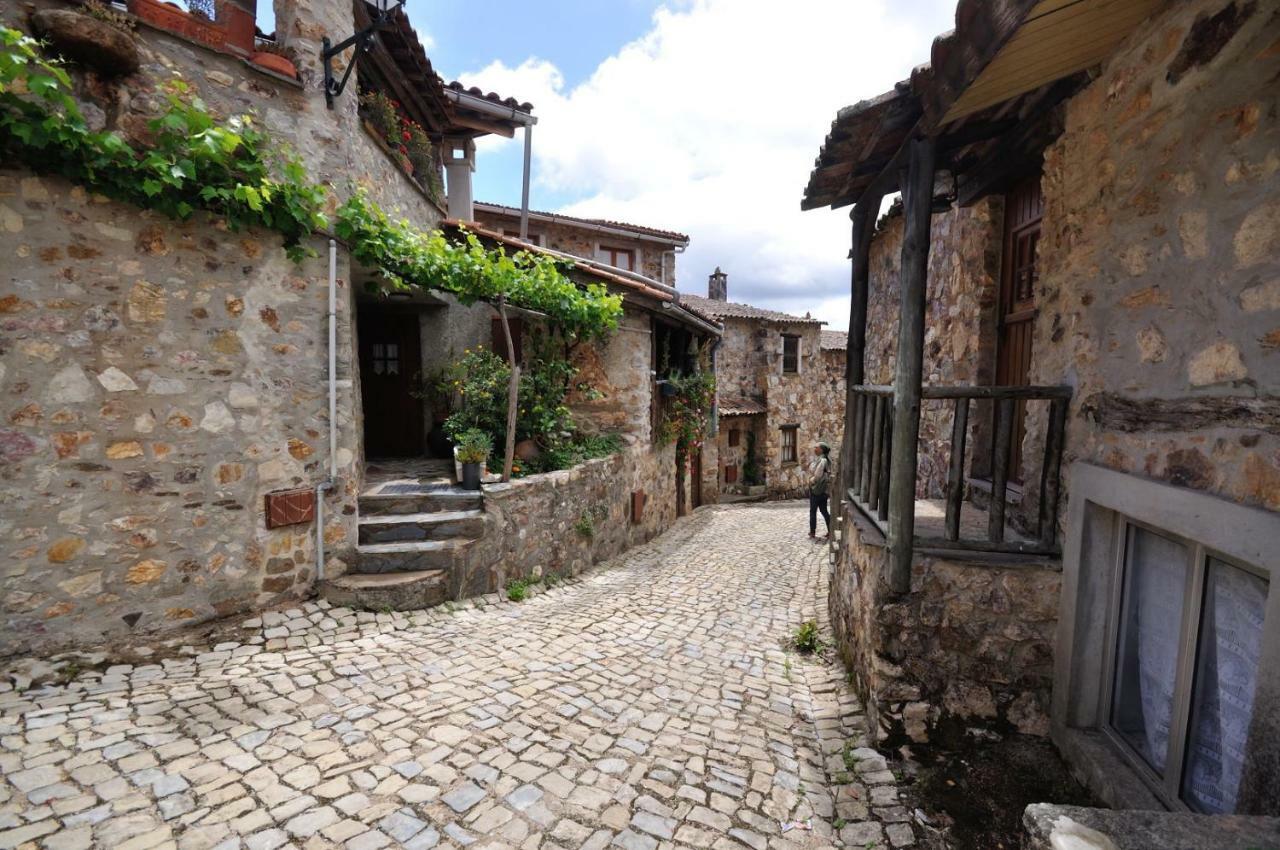 Casa Do Olival Villa Figueiro Dos Vinhos Exteriör bild