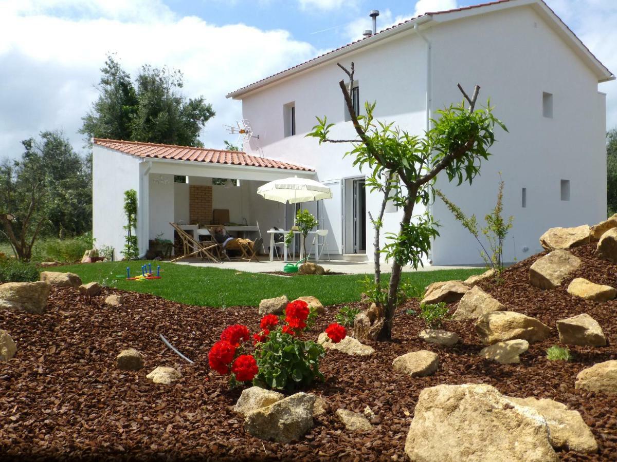 Casa Do Olival Villa Figueiro Dos Vinhos Exteriör bild