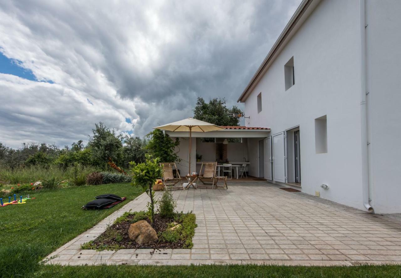 Casa Do Olival Villa Figueiro Dos Vinhos Exteriör bild