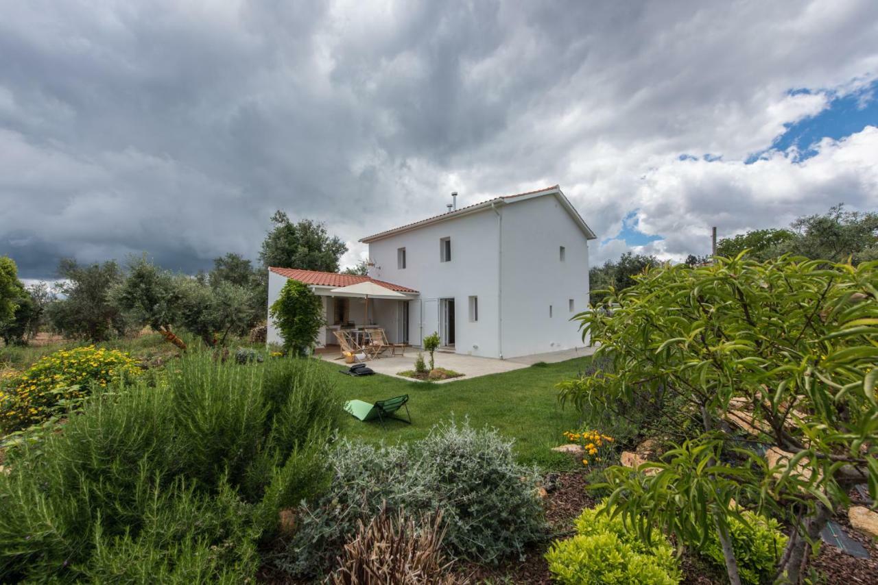 Casa Do Olival Villa Figueiro Dos Vinhos Exteriör bild
